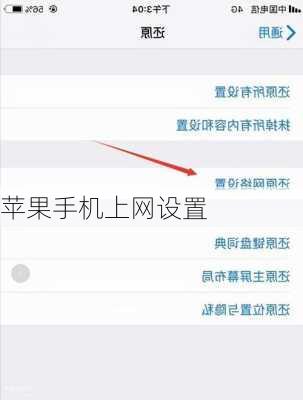 苹果手机上网设置