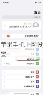 苹果手机上网设置