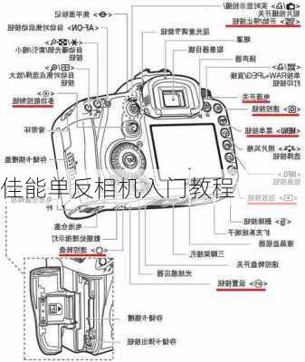 佳能单反相机入门教程