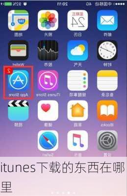 itunes下载的东西在哪里