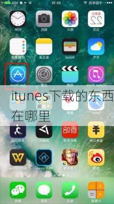 itunes下载的东西在哪里