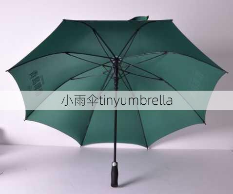 小雨伞tinyumbrella