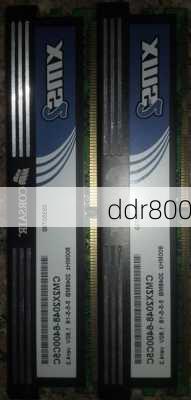 ddr800