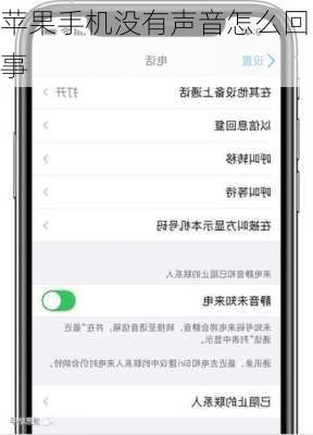 苹果手机没有声音怎么回事