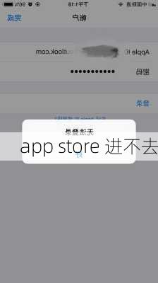 app store 进不去