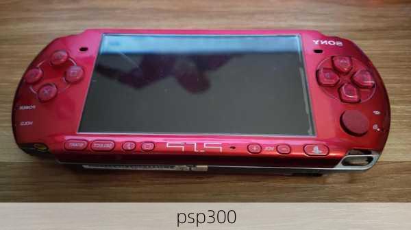 psp300