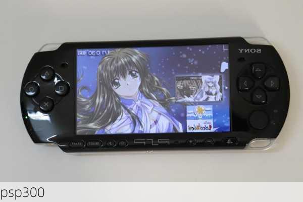 psp300