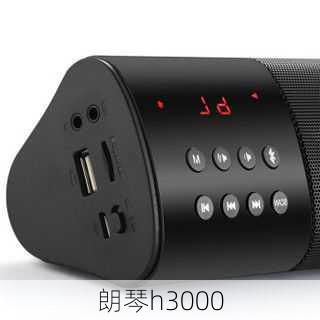 朗琴h3000