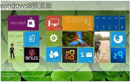 windows8预览版