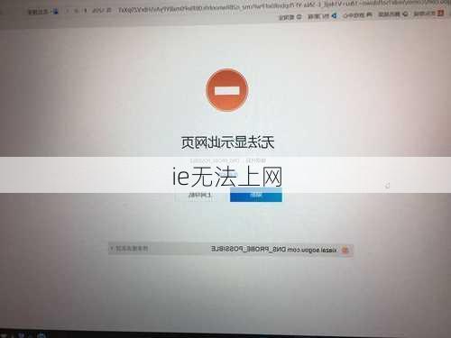 ie无法上网