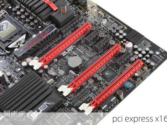 pci express x16