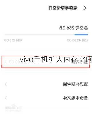 vivo手机扩大内存空间