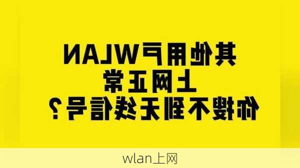 wlan上网