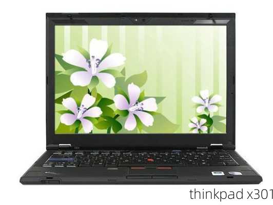 thinkpad x301