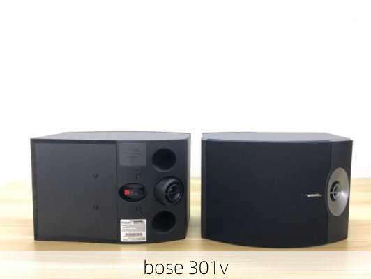 bose 301v