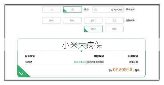 小米大病保