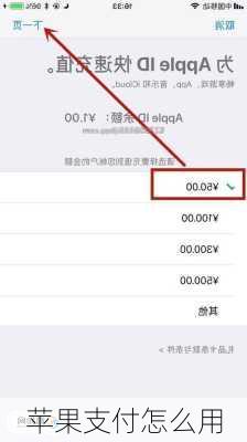 苹果支付怎么用
