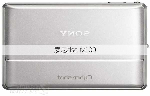 索尼dsc-tx100