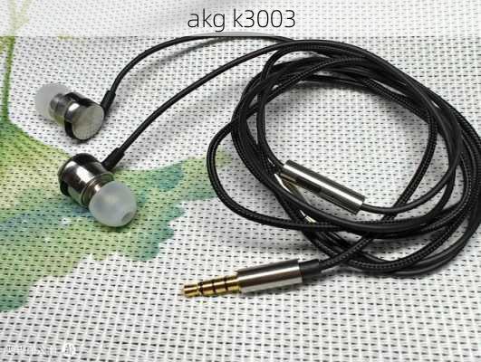 akg k3003