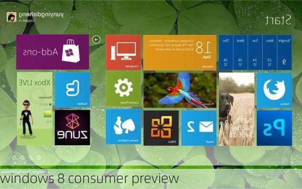 windows 8 consumer preview