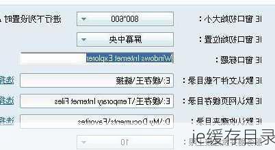 ie缓存目录