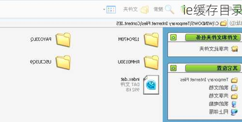 ie缓存目录