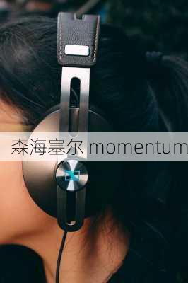 森海塞尔 momentum