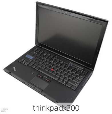 thinkpadx300