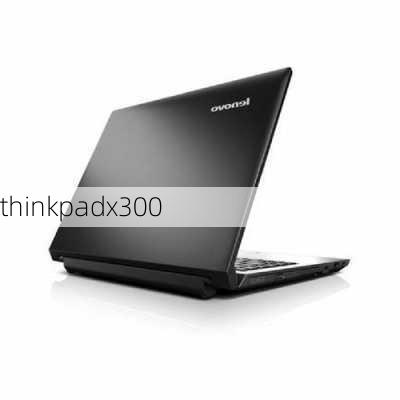 thinkpadx300