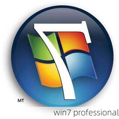 win7 professional