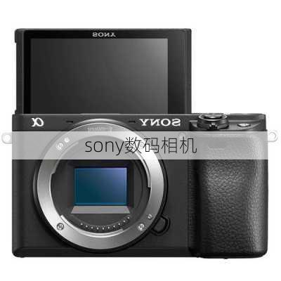 sony数码相机