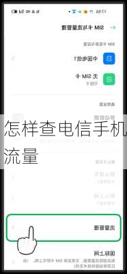 怎样查电信手机流量