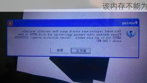 该内存不能为