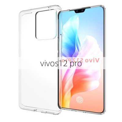 vivos12 pro