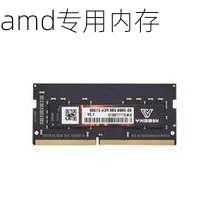 amd专用内存